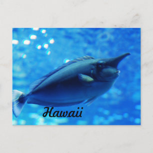 Unicorn Fish Briefkaart