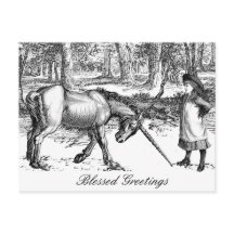 Unicorn Greeting Postcard