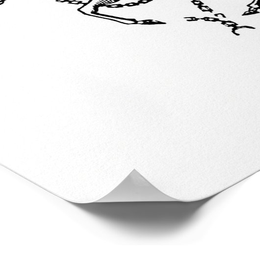  Unicorn Illustratie Poster (Hoek)