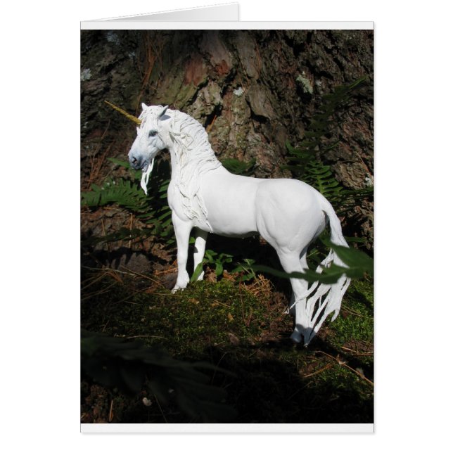 Unicorn in de Bossen (Voorkant)