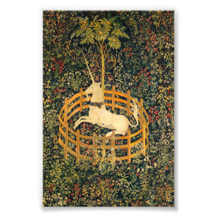 Unicorn in gevangenschap foto afdruk