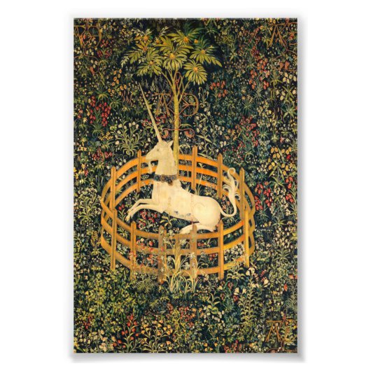 Unicorn in gevangenschap foto afdruk (Voorkant)