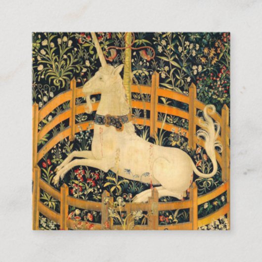 Unicorn in gevangenschap informatiekaartje (Voorkant)