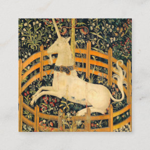 Unicorn in gevangenschap informatiekaartje