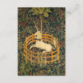 Unicorn in gevangenschap informatiekaartje (Voorkant)