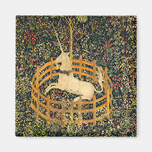 Unicorn in gevangenschap magneet (Voorkant)