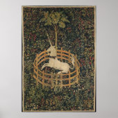 Unicorn in gevangenschap poster (Voorkant)
