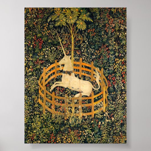 Unicorn in gevangenschap poster (Voorkant)