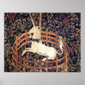Unicorn in gevangenschap poster (Voorkant)