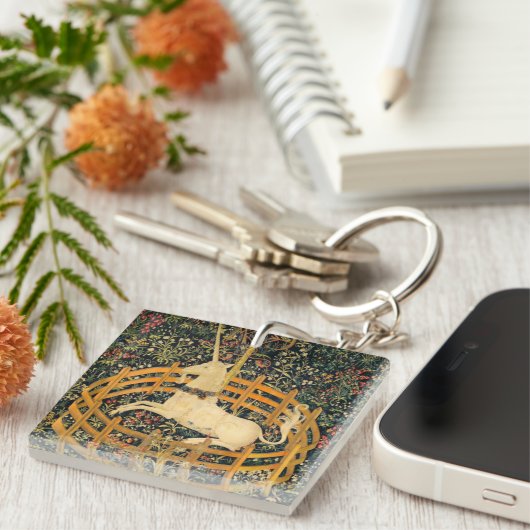 Unicorn in gevangenschap sleutelhanger (Voorkant Rechts)