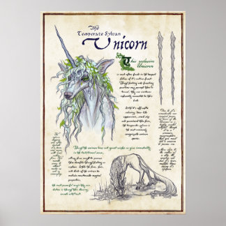 Unicorn - Mythologisch Poster op de pagina Bestiar