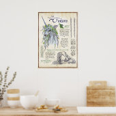 Unicorn - Mythologisch Poster op de pagina Bestiar (Keuken)