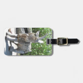 Unicorn of Donkey? Palanga, LITOUWEN - Bagagelabel (Voorkant horizontaal)