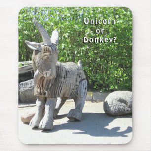 Unicorn of Donkey? Palanga, LITOUWEN - Muismat