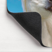 Unicorn-paard en regenboog muismat (Hoek)