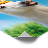 Unicorn-paard en regenboog poster (Hoek)