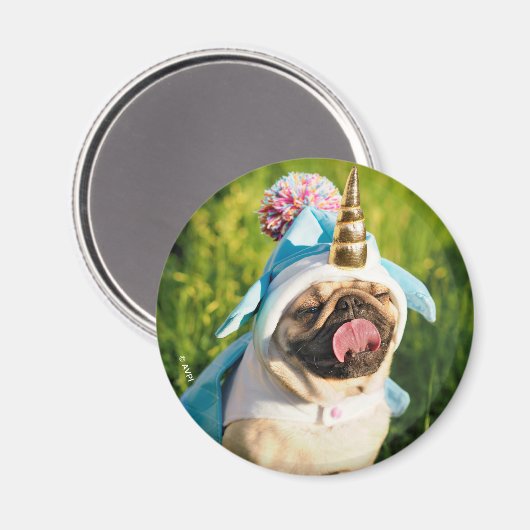 Unicorn Pug Magneet (Voorkant / Achterkant)