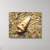 Unicorn Shell op strand Canvas Afdruk (Voorkant)