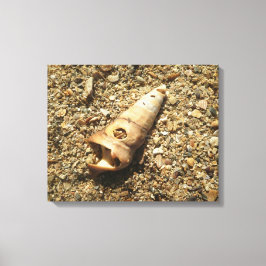 Unicorn Shell op strand Canvas Afdruk