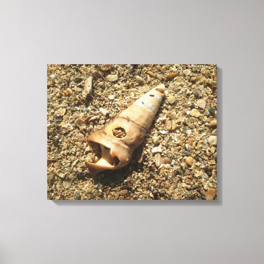 Unicorn Shell op strand Canvas Afdruk (Voorkant)