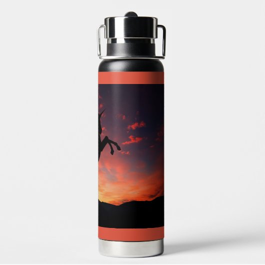 Unicorn Silhouette Water Fles (Achterkant)