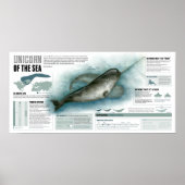 Unicorn van de Zee Poster (Voorkant)