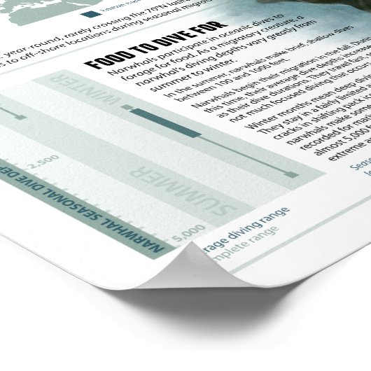 Unicorn van de Zee Poster (Hoek)