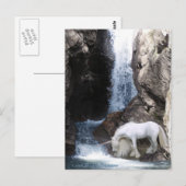 Unicorn & Waterfall Briefkaart (Voorkant / Achterkant)