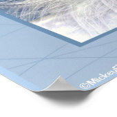 Unicorn White Beauty Poster (Hoek)