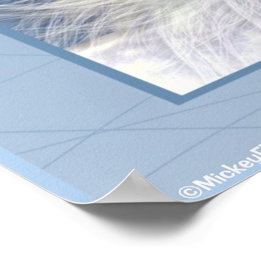 Unicorn White Beauty Poster (Hoek)