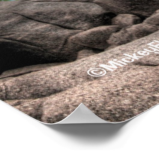 Unicorn White Beauty Poster (Hoek)