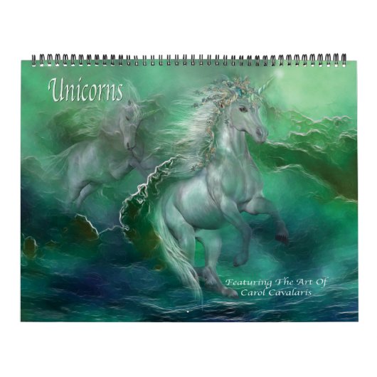 Unicorns Art Calendar 2013 Kalender (Hoes)