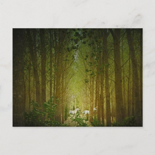 Unicorns Briefkaart (Voorkant)