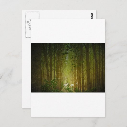 Unicorns Briefkaart (Voorkant / Achterkant)