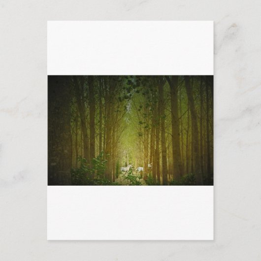 Unicorns Briefkaart (Voorkant)