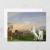 Unicorns ontmoeten paarden Fantasiland Briefkaart (Voorkant / Achterkant)