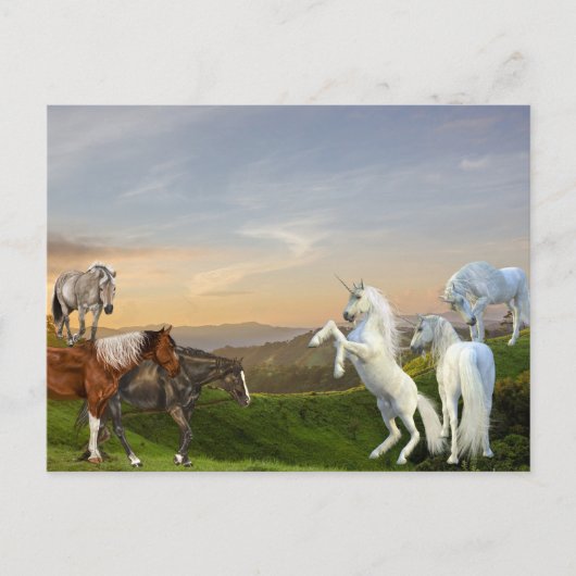 Unicorns ontmoeten paarden Fantasiland Briefkaart (Voorkant)