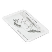 Unicorns zijn echt magneet (Rechterzijde)