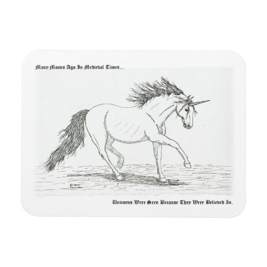 Unicorns zijn echt magneet (Horizontaal)