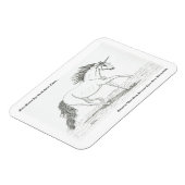 Unicorns zijn echt magneet (Linkerzijde)