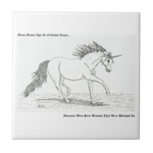 Unicorns zijn echt tegeltje