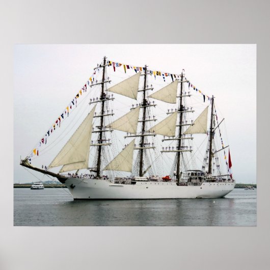 Unie Peru Poster (Voorkant)