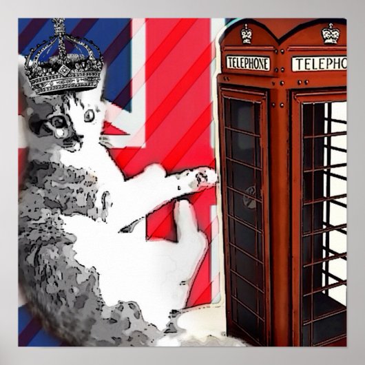 unieboorgang telefooncel kroonkitty cat poster (Voorkant)