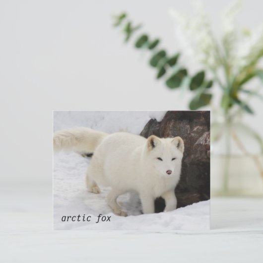 Uniek Arctic Fox Briefkaart (Staand voorkant)