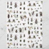 Uniek  beschermkapje en snijpatroon (Achterkant)