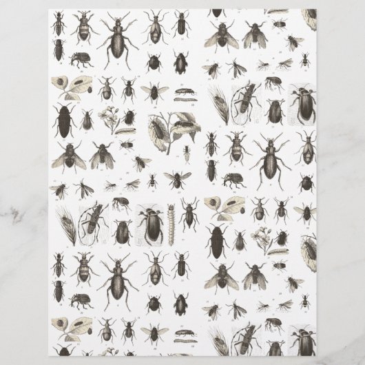 Uniek  beschermkapje en snijpatroon (Achterkant)