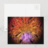 Uniek Briefkaart (Voorkant / Achterkant)