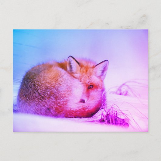 *~* Uniek Dier Red Fox AP18 Artistic Wildlife Briefkaart (Voorkant)