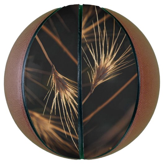 Uniek kort barstend wild gras basketbal (Verticaal)