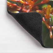 Uniek Oranje Plant op een Mousepad Muismat (Hoek)